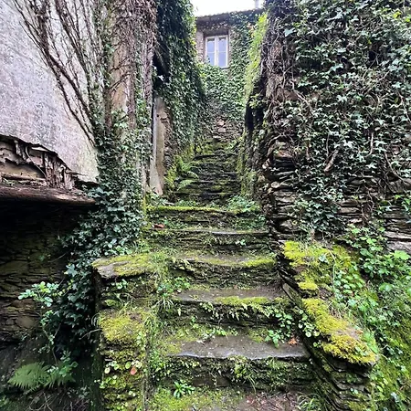 Casa De Xisto Serra Do Acor Arganil