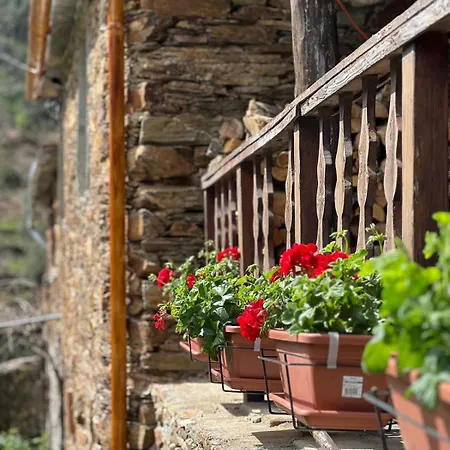 Casa De Xisto Serra Do Acor Arganil